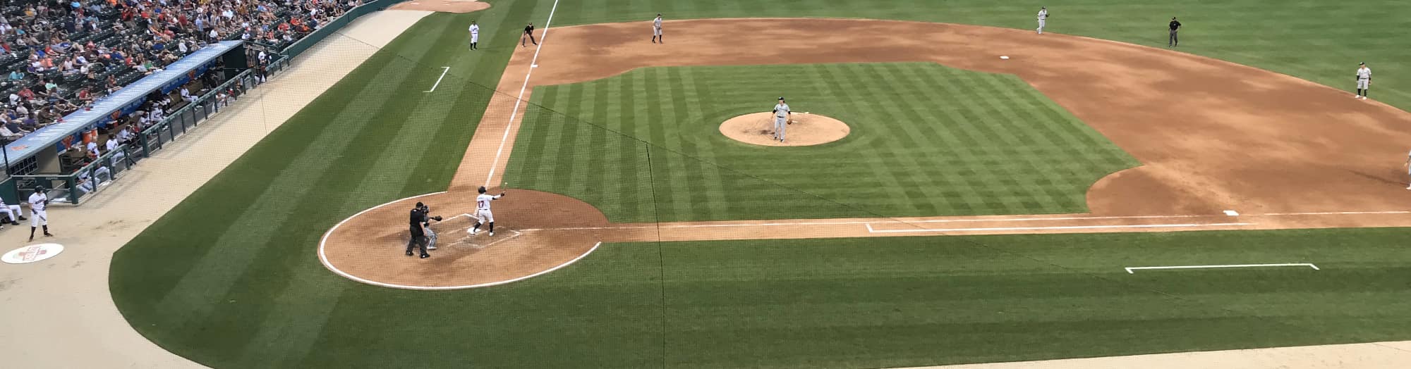 green baseball field Tallahassee