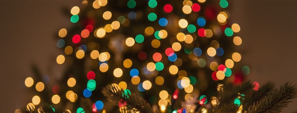 bokeh christmas lights Tallahassee
